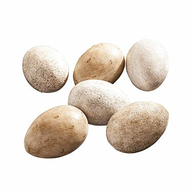 Loberon Osterei 6er Set Edrisa, naturnahes Design, natürlicher Charme, zarte Farbgebung, Deko-Eier, Ostern, Osterdekoration, Osterschmuck, Polyresin, Creme im Sale